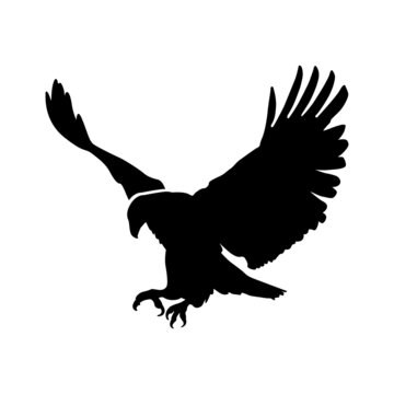 Vector flat style black silhouette illustration of a realistic landing American eagle - isolated on white. Full editable and scalable high quality eps file available.
