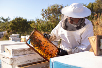 Bee keeper removing rack outside of hive. organic honey and beekeeping concept	