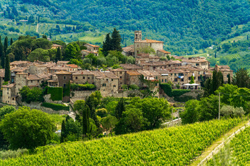Montefioralle Florence Tuscany Chianti wine area Italy