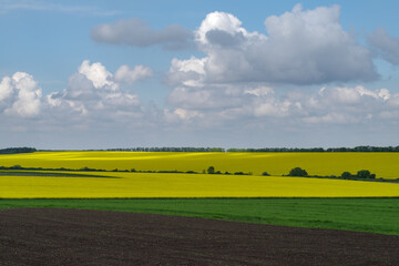 Spring agricultural landscape, Podilski Tovtry nature reserve, Podilia region, South-Western Ukraine