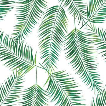Tropical palm leaves print pattern. Vector watercolor seamless pattern.