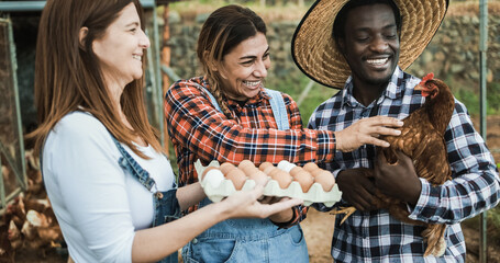 Multiracial farmers collecting organic eggs from henhouse - Focus on center woman face