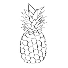 Pineapple on a white background. Isolated line art.