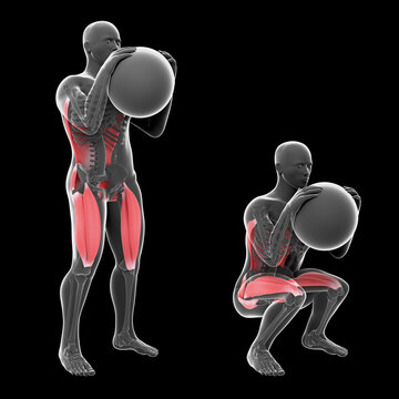 3d Illustration of Globet Squat Wallball