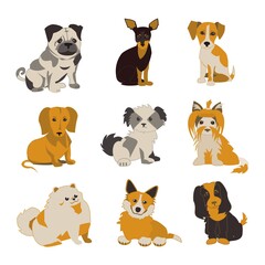 Obraz premium Small dogs of different breeds set Flat vector isolated illustration