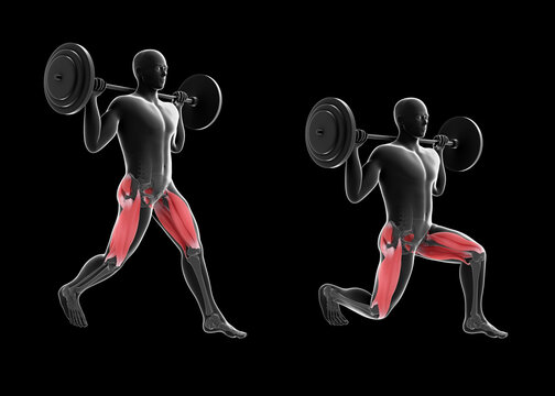 3d Illustration of Static Barbell Lunges