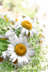 A bouquet of daisies in a vase on the windowsill close-up. Spring white and yellow chamomile flowers on the window on a sunny day.Spring flowering. Summer floral natural background.