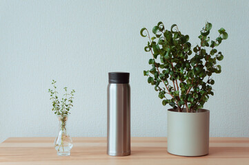 水筒と観葉植物