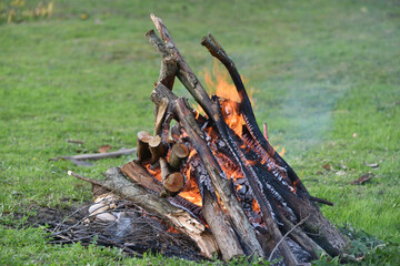 a bonfire burns in a clearing during a summer camp
