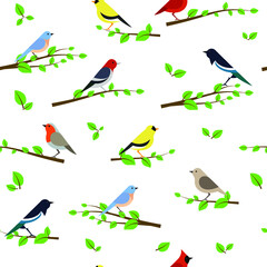 Seamless pattern with birds 
