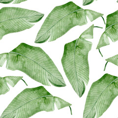 Large banana leaves watercolor seamless pattern. Template for decorating designs and illustrations.