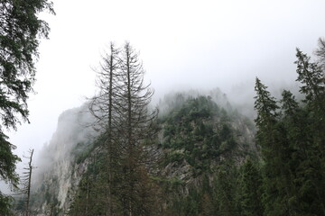 Clouds in the mountains