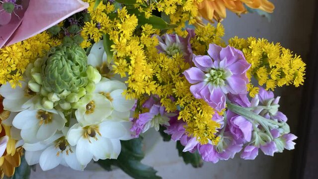 timelapse of garden star of Bethlehem blooming and hoary stock withering in bouquet