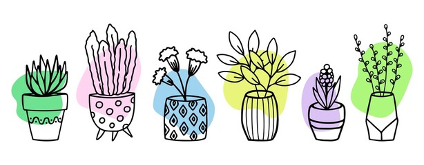Fototapeta na wymiar Flowers in pots and vases doodle hand drawn sketch