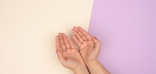 two female hands folded palm to palm on a beige  purple background