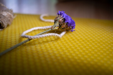 Close-up of a textured honeycomb with purple flower
