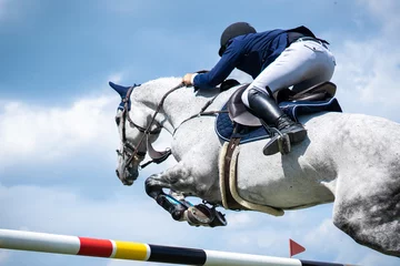 Foto op Aluminium Paardensport foto thema: Paard springen, Show Jumping, Paardrijden. © Pratiwi