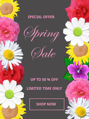 Spring Sale - Flower Border