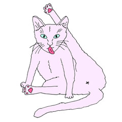 Cat with raised paw and pink tongue cleaning illustration. Vector pet simple hand drawn clip art sketch.
