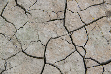 The texture from cracked dry earth.  Cracks against background