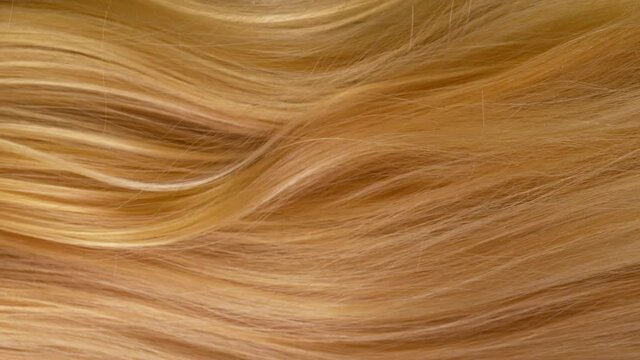 Super slow motion of beautiful healthy long smooth flowing blonde hair. Filmed on high speed cinematic camera at 1000 fps.