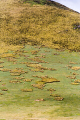 Antisana Reserve Ecuador