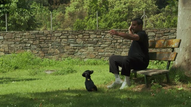 A mixed race black man sit on a bench, play and throw the ball to a dachshund puppy in a green fresh lawn in the forest on a sunny day. Slow motion high quality still shot video.
