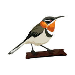 A songbird sits on a branch