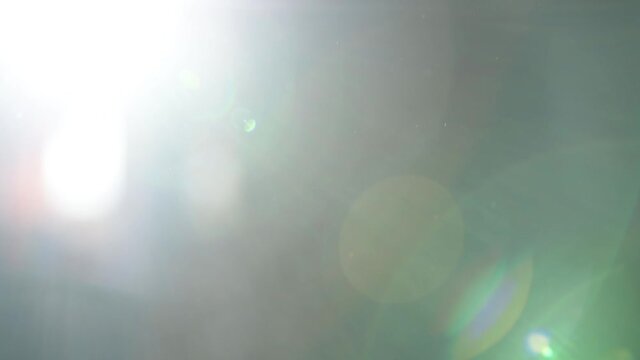 glare from the sun in the frame. majestic sun shining in the background, rays and glare in frame. glare from sunlight hitting the camera lens. High quality FullHD footage