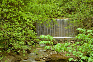 Ein Wasserfall im grünen Wald