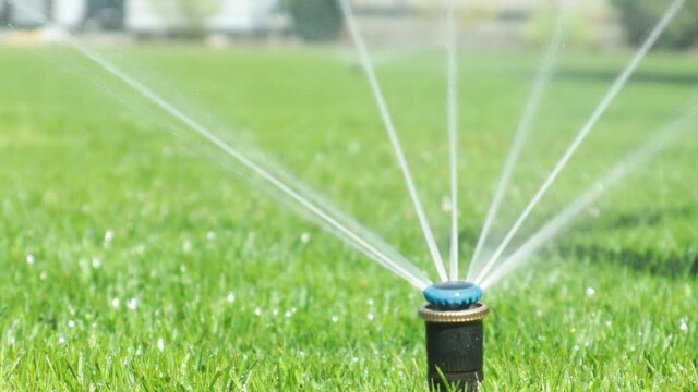Grass irrigation. Garden Irrigation sprinkler watering lawn.
