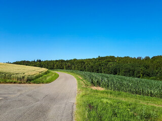 Fototapeta na wymiar country road against clear blue sky in rural landscape with copy space in summer in Germany