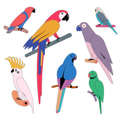 Vector illustration icon set of parrots. White background.