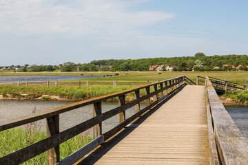 Holzweg über den Broeck am Sehlendorfer Binnensee Naturschutzgebiet bei Hohwacht an der Ostsee