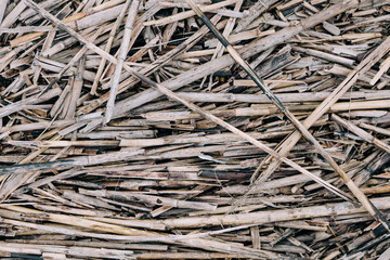 a close up view of small pieces of driftwood sticks of wood scattedered on the ground