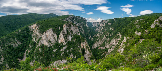 Steep rocky cliffs of Lazar's Canyon / Lazarev kanjon, the deepest and longest canyon in eastern Serbia, near the city of Bor - obrazy, fototapety, plakaty