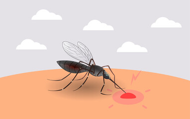 Mosquito sucking blood. Realistic mosquito. Blood sucking insects, peddler of dengue, zika virus and malaria vector isolated - obrazy, fototapety, plakaty