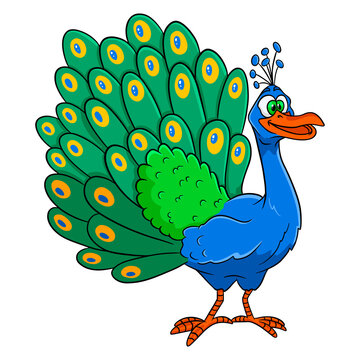 Animal character funny peacock in cartoon style