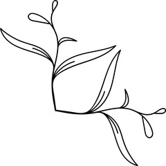Leaves with Flowers Bouquet Line Art Illustration