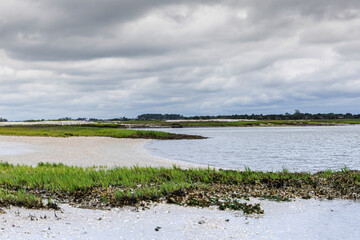 Tybee Island landscape water view with marsh