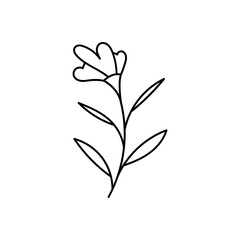 Leaves with Flowers Bouquet Line Art Illustration