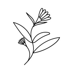 Leaves with Flowers Bouquet Line Art Illustration