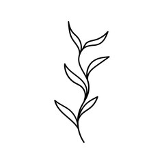 Leaf Plant Line Art Illustration