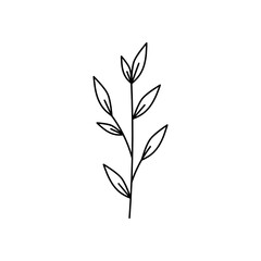 Leaf Plant Line Art Illustration