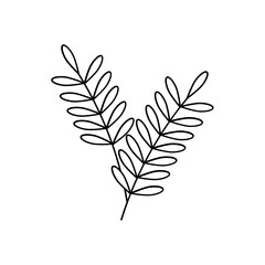 Leaf Plant Line Art Illustration