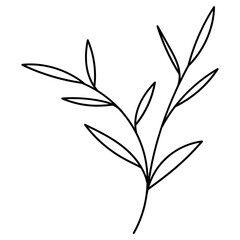 Leaf Plant Line Art Illustration