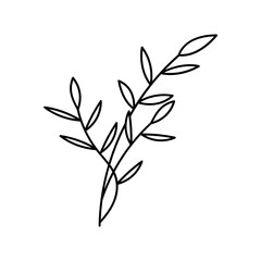 Leaf Plant Line Art Illustration