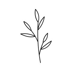 Leaf Plant Line Art Illustration