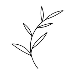 Leaf Plant Line Art Illustration