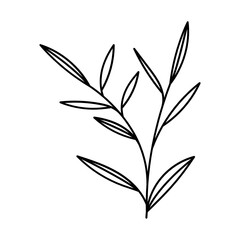 Leaf Plant Line Art Illustration
